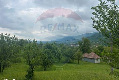 Teren de 2000 mp, în Copalnic - 7