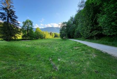 Teren de 12.000 mp la Vama Buzăului – Locație de Vis cu PUZ Aprobat - 7