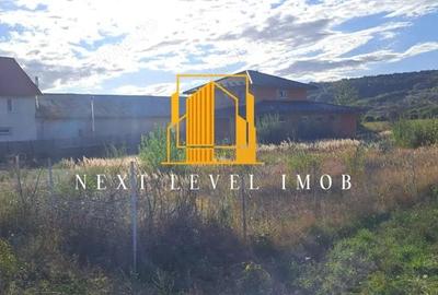 Teren Comna Micesti, sat Purcareni - 1