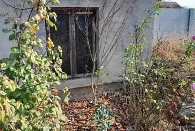 Casă cu 2 camere în Coșoveni - 5