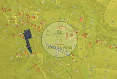 Teren de 38000 mp, în Borșa - 6