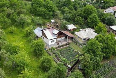 Casa, 4 camere, 125000 euro, Nehoiu , 120 Mp, 2000 mp teren. - 25