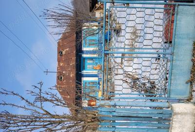 Teren si casa batraneasca 3100 mp - 2