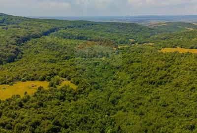 COMISION 0% Teren 1020mp / Intravilan/PUZ/ Grid - 5