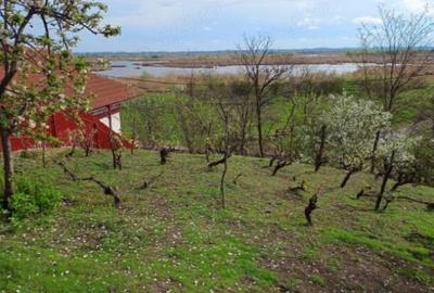 ID 7852 Teren pentru casa - Strada Orizontului - 5