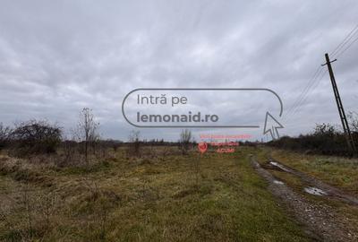 Teren Șag - intravilan agricol | 3.200 mp - 2