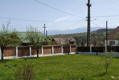COMISION 0% Casa individuala/5 camere/garaj/2.628mp teren/Cisnadioara - 24