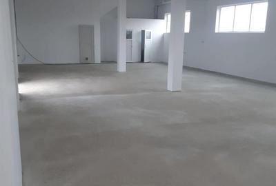 Hala construc?ie noua pe 2 niveluri - 3