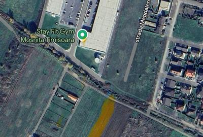 Teren de 10000 mp, în Moșnița Nouă - 3