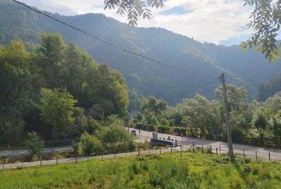 Casă cu Teren 3765 Mp în Mănăstire - 2