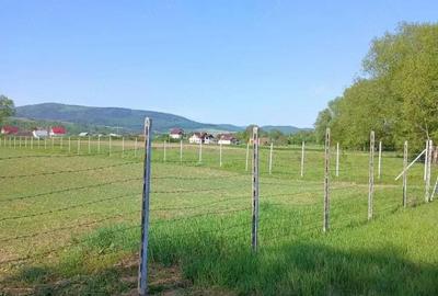 Teren de 4000 mp, în Central - 9
