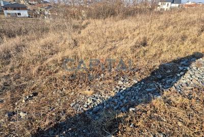 Teren intravilan, 1 000 mp, zona Tausor - 4