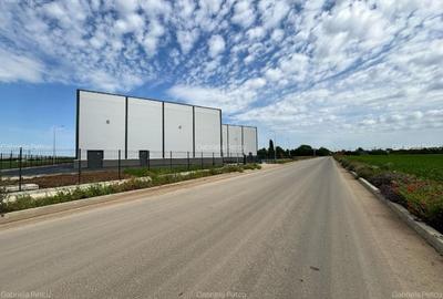 Dobroesti Teren 15.000 Mp Bd. Nordului Deschidere 41 ml - 5