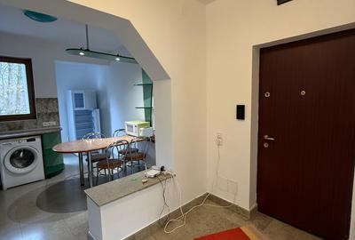 Apartament cu 3 camere semidecomandat în Plopilor - 9
