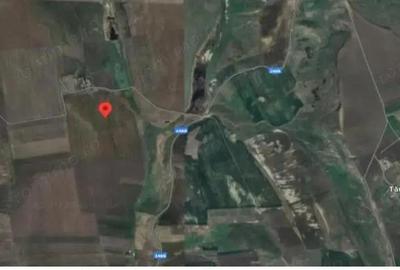 Teren extravilan cota parte 1/3, Rediu, ID: R2642185 - 4