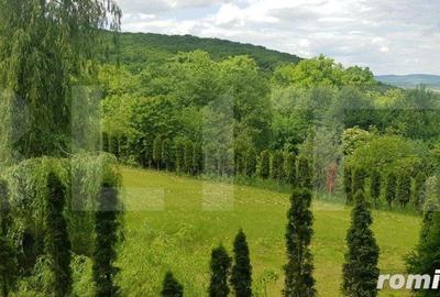 Casă cu 5 camere cu Teren 3000 Mp în Făget - 9