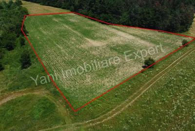 Teren de vanzare in comuna Baicule?ti, Judet Arge?. - 3