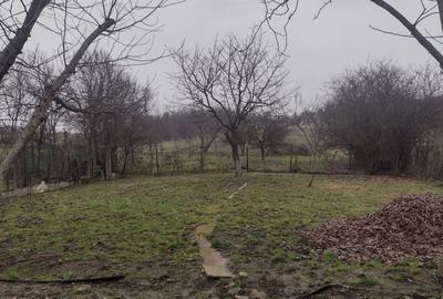 Casă cu 3 camere în Central - 2