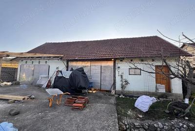 Casă cu Teren 2900 Mp în Trestia - 12