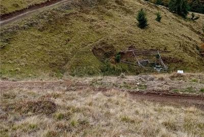 Spațiu comercial, în Cresuia - 5