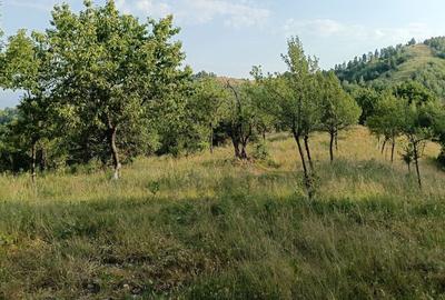 Spațiu comercial, în Luncani - 5