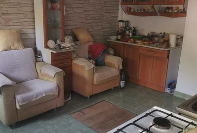 Casa locuibila,  din caramida, gaze,teren 360 mp cu deschidere 18, Palas - 10