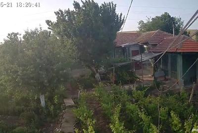 Casă cu 5 camere cu Teren 2200 Mp în Seaca - 4