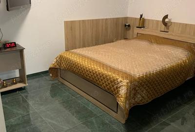 Garsonieră semidecomandată în Ultracentral - 5