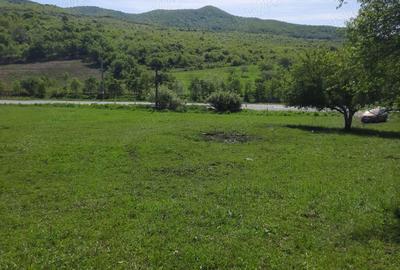 Teren în Central