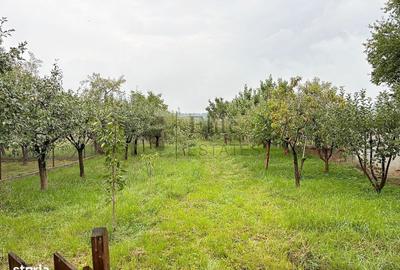 Casă cu 2 camere cu Teren 1591 Mp în Betfia - 4