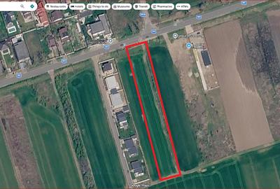 Teren Construcții intravilan de 5000 mp, în Moara Vlăsiei - 3