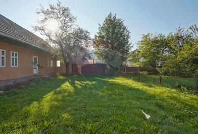 Casă cu 3 camere cu Teren 7255 Mp în Vama Buzăului - 8