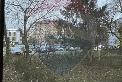 Apartament cu 1 camera de inchiriat in zona Brazda lui Novac - 3