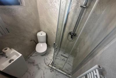 CASA INDIVIDUALA 4 CAMERE, - 167 MP UTILI, GARAJ, MOBILATA LUX, BECI - 14