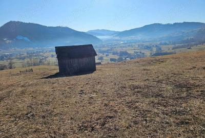 Teren extravilan de vanzare in Bucovina zona Frasin - 2