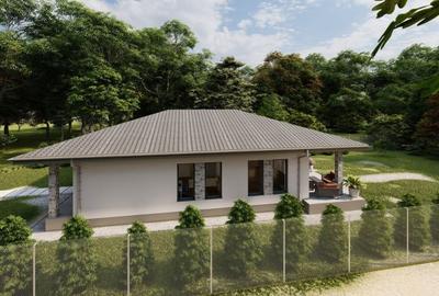 Casă cu 3 camere în Podgoria - 1