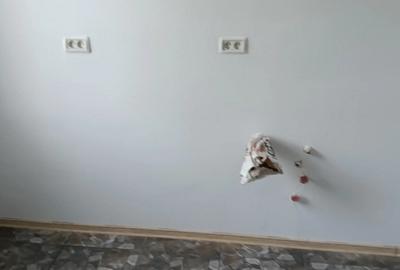 Apartament cu 2 camere decomandat în Topraisar - 1