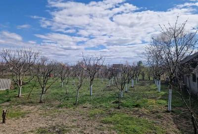 Casă cu 2 camere cu Teren 1374 Mp în Iosia - 8