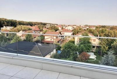 Inchiriere Penthouse  5 camere/ 2 garaje - zona Iancu Nicolae- Padurea Baneasa - 18