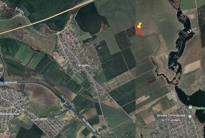 Teren Construcții extravilan de 25400 mp, în Cernica