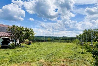 Teren intravilan pentru constructii de vanzare in Paleu - 3