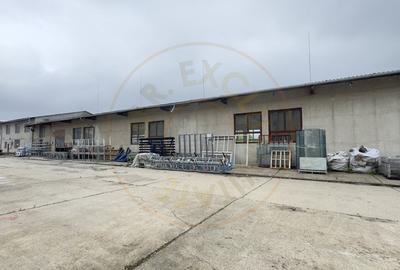 Cladire Industriala Hala Productie, Depozitare, Birouri-Teren 3140 mp - Carei - 3
