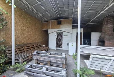 Cabana pe Stradul din Arad aproape de Mures - 7