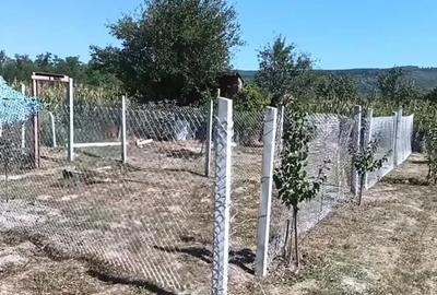 Casă cu 3 camere cu Teren 1600 Mp în Crâmpotani - 5