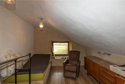 Proprietate autentica, stil traditional:Eco, cu parau pitore - 4