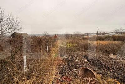 Teren intravilan de vanzare, Botosani - Central - 7