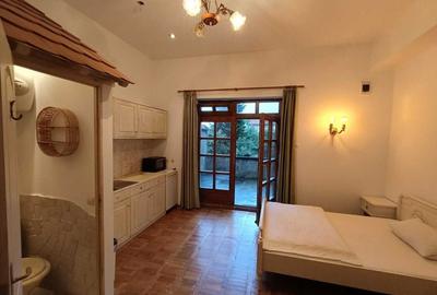 Garsoniera cu terasa proprie in vila interbelica | inchiriere | central |