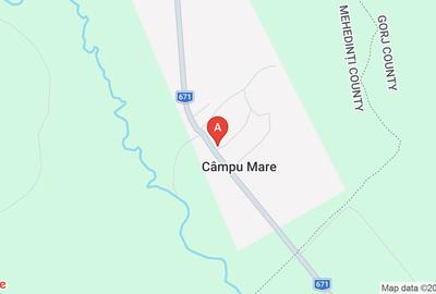 Casă individuală cu 5 camere cu Teren 4000 Mp în Câmpu Mare - 1