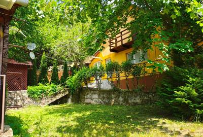 Cabana ta de vis #238;n inima naturii Padurea Neagra ... - 25