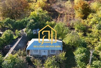 Casă cu 2 camere în Gorban - 6